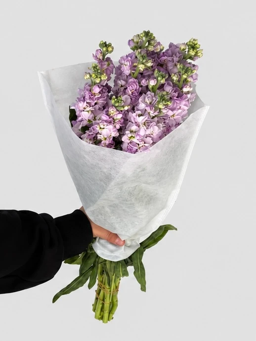 Банч маттиолы фиолетовой (10 шт), изображение 3